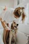 Kim Dennison, Owner Operator Furrbusters Grooming